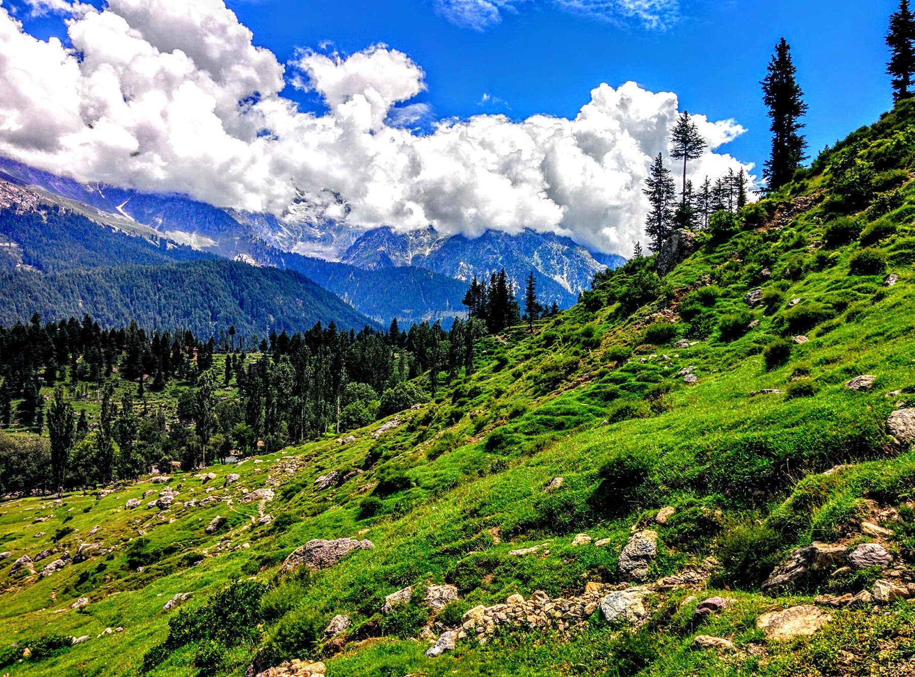 Kalam: Swat highlands, Ushu forest & clear rivers