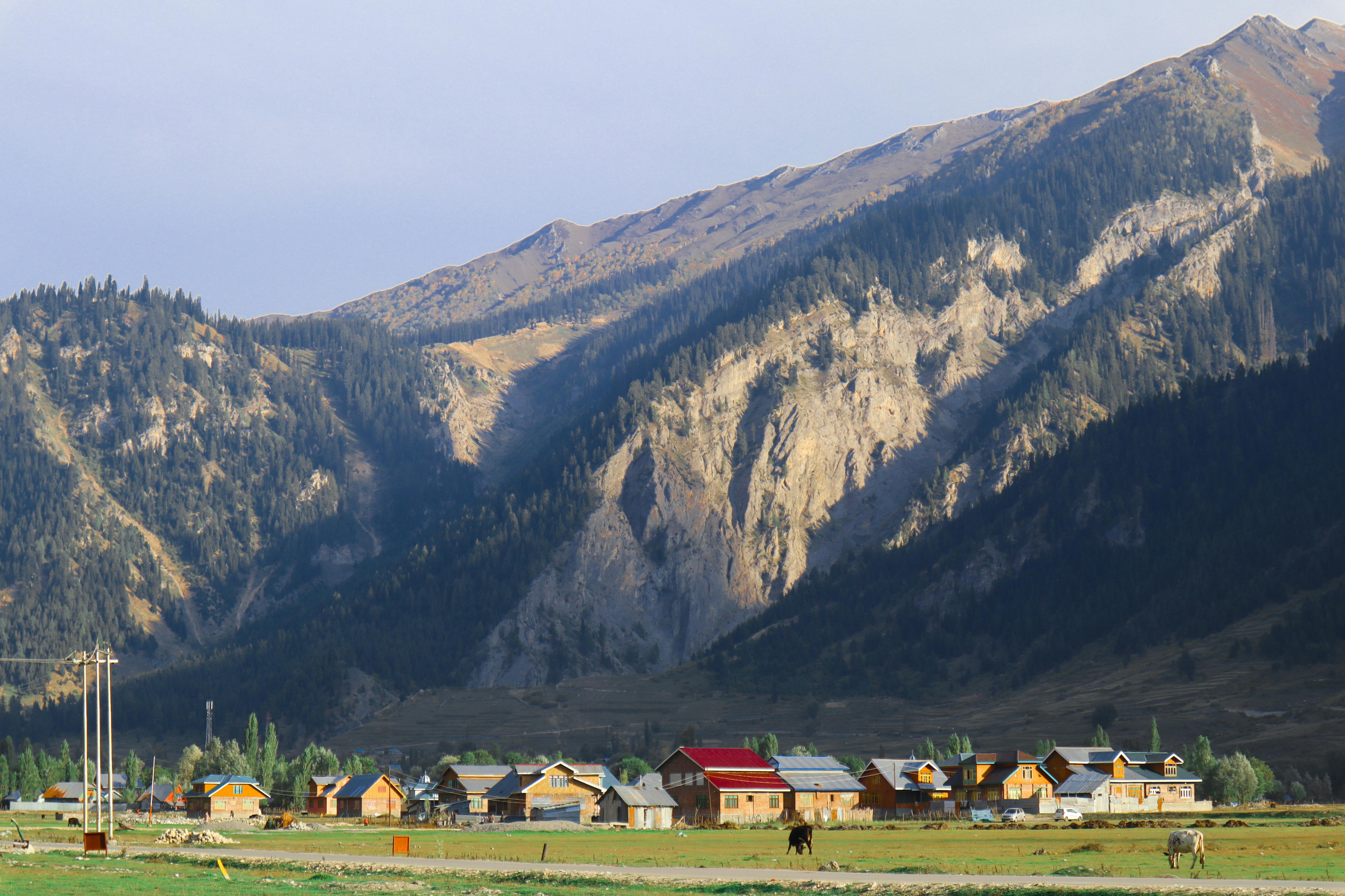 Minimarg corridor — detail