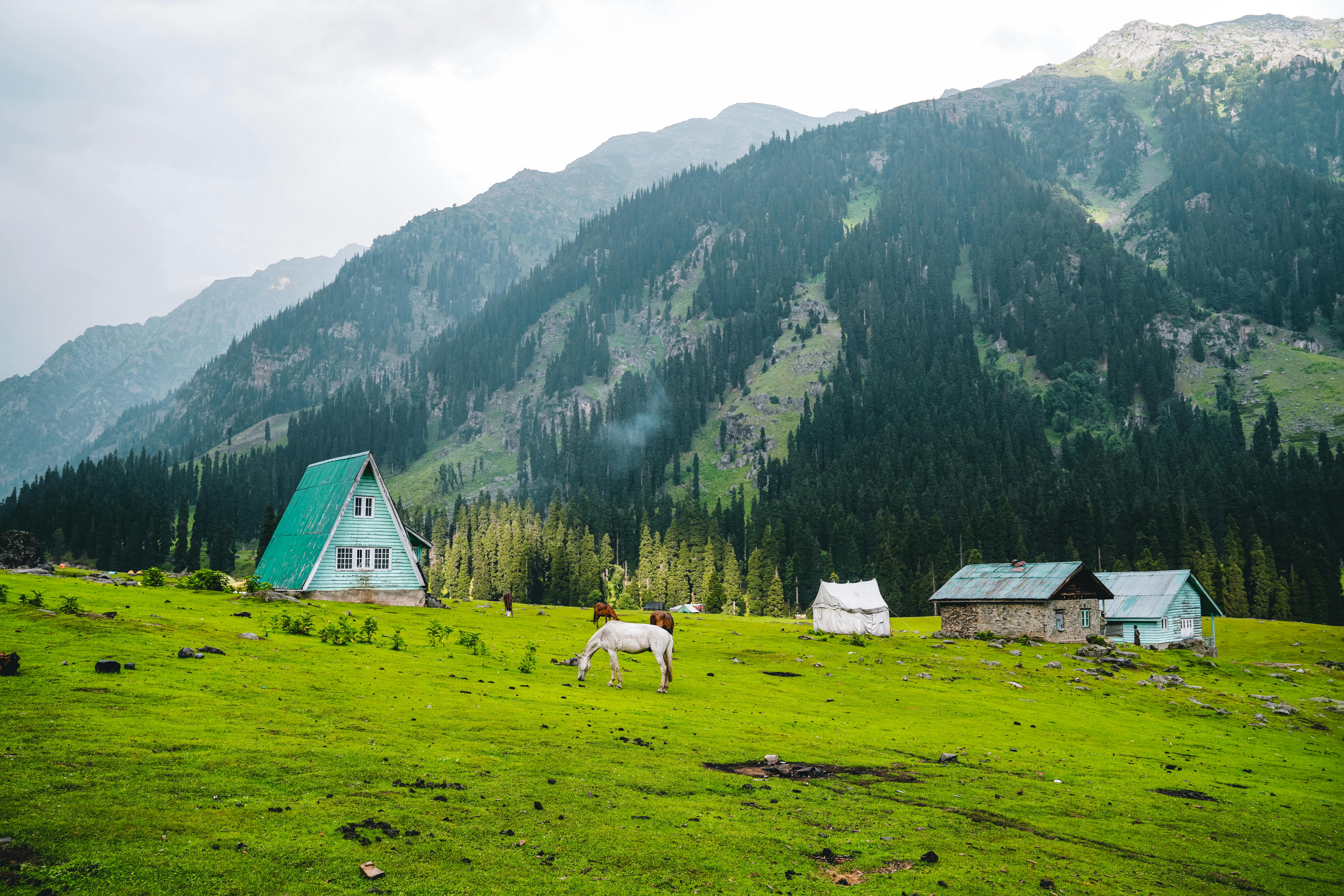Minimarg